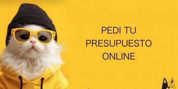 Presupuesto
